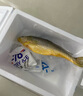 黃小漁寧德三去黃花魚(yú)800g/條 大黃魚(yú)生鮮 魚(yú)類(lèi)海魚(yú) 海鮮水產(chǎn) 中秋 曬單實(shí)拍圖