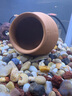 森森 超白玻璃小魚缸HRK-500套缸款(長50cm)熱彎玻璃+過濾器+水草燈 曬單實拍圖