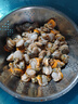 鯨口大開【精選】新鮮青島大扇貝肉鮮活非即食超大夏夷貝帶黃無沙鮮活冷凍 新鮮現(xiàn)剝扇貝肉3斤(凈重) 曬單實(shí)拍圖