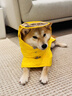 MIKI PAD狗狗雨衣中大型犬柯基邊牧金毛寵物雨衣斗篷防水雨披狗狗沖鋒衣 檸檬黃 #快穿設計 5XL（背長(cháng)52-60 參考體重40-70斤） 曬單實(shí)拍圖