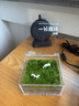 京東綠植一片私人草坪辦公室苔蘚微景觀(guān)擺件生態(tài)綠植盆栽定制禮物源頭直發(fā) 曬單實(shí)拍圖
