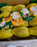 佳沛（zespri）新西蘭 陽(yáng)光金果12粒單果約122-146g 獼猴桃 中秋水果禮盒 曬單實(shí)拍圖