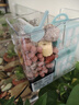 森森（SUNSUN）魚缸過濾材料細(xì)菌屋玻璃環(huán)生化球麥飯石水族濾材過濾用品 加強版10合1濾材1000g【贈水質(zhì)安定劑膠囊】 曬單實拍圖