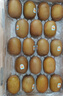 佳沛（zespri）新西蘭  陽光金奇異果18粒超大果原箱單果重約173-204g 獼猴桃 曬單實拍圖