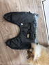超可耐防風(fēng)防水柯基衣服柴犬雪納瑞泰迪冬季保暖狗狗衣服2025可牽引棉衣 隕石灰 XL碼（適合15-19斤） 曬單實(shí)拍圖