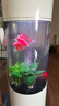 可麗愛（CLEAIR）Cleair可麗愛LS-Y1橢圓Y2圓柱魚缸水族箱客廳家用亞克力魚缸 LS-Y2圓柱 白色*城區(qū)送貨入戶 LS-Y2(智能遙控,變色LED燈)直徑48圓柱 曬單實(shí)拍圖