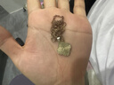 四葉花夏百搭女秋冬時(shí)尚小香風(fēng)氣質(zhì)項鏈輕奢小眾ins潮網(wǎng)紅鎖骨鏈 白四葉草項鏈【金色】 曬單實(shí)拍圖