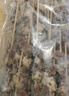 鮮京采內(nèi)蒙古孜然羊肉串凈重2斤 （50串）露營戶外燒烤 京東自有品牌 曬單實拍圖