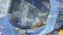 臻佑（Grsaed）打水桶釣魚8L方形可折疊水桶戶外野釣路亞活魚桶便攜釣魚桶 透明 曬單實拍圖