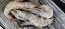東上御品蝦 青島大蝦基圍蝦鮮活青蝦白蝦海蝦對(duì)蝦冰蝦凍蝦生鮮 蝦類 海鮮 3斤(凈重)  氣凍大蝦【活蝦速凍】 15-18cm【單只超大蝦】 曬單實(shí)拍圖