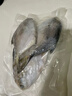富海錦 渤海銀鯧魚(yú)450g 3條 平魚(yú) 火鍋燒烤食材 烤魚(yú)海鮮魚(yú)類(lèi) 送禮 曬單實(shí)拍圖