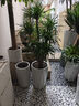 澳冶適用于比亞迪秦L(24-25款)無(wú)骨雨刮器原車(chē)尺寸前窗雨刷1對裝26+16 曬單實(shí)拍圖