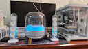 哈曼卡頓 音樂(lè)水晶五代 流光版 藍(lán)牙音箱 電腦桌搭 居家藝術(shù)音響 七夕節(jié)禮物 家用音響 電競(jìng)游戲音箱 水晶5 曬單實(shí)拍圖