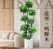 臨雅特級鴨腳木客廳綠植物高級感八方來(lái)財大型盆栽高端大氣上檔鴨掌木 【旗艦款】造型鴨腳木1.4-1.5m+智能吸水盆 曬單實(shí)拍圖