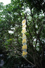 銘匠AF40mmF2全畫(huà)幅大光圈自動(dòng)對焦名匠40f2微單人像鏡頭適用a7c2 ZVE10 z50二代 z30  Z卡口L卡口鏡頭 索尼FE卡口 官方標配 曬單實(shí)拍圖
