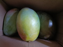 京鮮生 攀枝花凱特芒果 凈重4.5斤 單果300g+ 生鮮水果源頭直發(fā) 曬單實(shí)拍圖