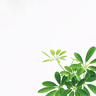 賽菲可恩格列凈片10mg*30片/盒【3盒裝】正大天晴 曬單實(shí)拍圖
