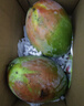 京鮮生 攀枝花凱特芒果 凈重4.5斤 單果700g 生鮮水果 源頭直發(fā) 曬單實(shí)拍圖