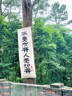 皇冠（danisa）丹麥曲奇餅干禮盒368g休閑零食團購囤貨送禮物印尼進(jìn)口  曬單實(shí)拍圖