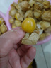 順豐包郵姑娘果鮮果新鮮水果燈籠果菇娘果東北特產(chǎn)現(xiàn)摘當(dāng)季 姑娘果5斤裝 曬單實(shí)拍圖