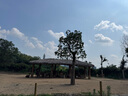 蕉下（beneunder）帽子男防曬帽遮陽(yáng)帽運(yùn)動(dòng)吸汗網(wǎng)球帽空頂帽DS567銀河灰 曬單實(shí)拍圖
