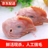 益客生雞頭鹵味生鮮帶雞冠子母雞頭冷凍燒烤雞肉 人食產(chǎn)品 5.4斤(約40個(gè)) 曬單實(shí)拍圖