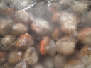 鮮享純【精選】新鮮青島大扇貝肉鮮活非即食超大夏夷貝帶黃無沙鮮活冷凍 新鮮現(xiàn)剝扇貝肉3斤(凈重) 曬單實(shí)拍圖