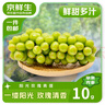京鮮生陽(yáng)光玫瑰香青提凈重3斤裝單果10g葡萄/提子生鮮水果源頭直發(fā) 曬單實(shí)拍圖
