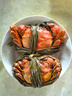 鮮活固城湖大閘蟹特大螃蟹河蟹5產(chǎn)地直發(fā)兩公4兩母 5兩公＋4兩母2對4只 曬單實(shí)拍圖