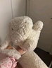 野獸派家居（tbh）月宮折桂月兔長(cháng)條抱枕女生睡覺(jué)玩偶毛絨玩具兔年本命年禮物 月宮折桂 月兔長(cháng)條抱枕 曬單實(shí)拍圖