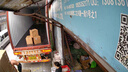 普聯(lián)（TP-LINK）雙攝500萬(wàn)雙畫(huà)全彩超清攝像頭家用監控器360度無(wú)死角帶夜視全景無(wú)線(xiàn)云臺追蹤室外戶(hù)外手機遠程防水 曬單實(shí)拍圖