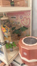 若來（Rolife）超級世界花店diy手工小屋積木拼裝玩具兒童生日禮物教師節(jié)禮物 曬單實拍圖
