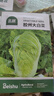 北蔬 白菜種子種苗北方山東早熟秋季蔬菜種籽 膠州大白菜種子約2000粒 曬單實拍圖