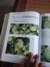 2025新版中國植保病蟲草害圖譜大全暨防治寶典 張建平主編 農(nóng)作物 蔬菜果樹病蟲害防治技術 小麥水稻玉米大豆花生常見農(nóng)業(yè)經(jīng)濟作物病蟲害診治圖譜 曬單實拍圖