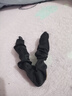 皇家密碼高馬尾香蕉夾發(fā)夾自然蓬松顯發(fā)量抓夾后腦勺盤發(fā)夾子頭飾咖色 曬單實拍圖