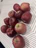 京鮮生 天水花牛蘋(píng)果 凈重4.5斤 單果170g+ 生鮮水果源頭直發(fā) 曬單實(shí)拍圖