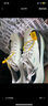 耐克田徑精英巴黎新款  Nike Maxfly 2 FP耐克男女碳板氣墊短跑釘鞋 FD8395-102/Maxfly 2代 41 曬單實(shí)拍圖