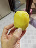桃西村河南黃心獼猴桃 西峽黃肉彌獼猴桃G3金果奇異果彌核桃新鮮水果 24枚 精選大果【單果90-110g】 曬單實(shí)拍圖