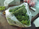 羽衣甘藍新鮮蔬菜食用榨汁烤片健身輕食2斤西餐沙拉蔬菜 【順豐直達】 500g 曬單實(shí)拍圖