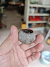 鐵兔淬晶小風(fēng)炮掛腰風(fēng)扇便攜式夾腰扇戶(hù)外釣魚(yú)夏天隨身攜帶降溫神器強力制冷腰帶USB迷你充電大功率 小風(fēng)炮 8000mAh 【軍綠色】5+1狂暴檔  強勁風(fēng)  33小時(shí)長(cháng)續航 曬單實(shí)拍圖