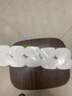 衛生紙廁紙原木卷紙無(wú)芯卷紙廁紙實(shí)惠家庭裝【包裝款式隨機】 4層 500g*1卷 曬單實(shí)拍圖