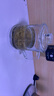 喜碧（Scybe）茶杯耐熱玻璃杯辦公杯玻璃茶杯帶蓋把手杯玻璃水杯格隆380ml 2只 曬單實(shí)拍圖