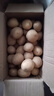 京鮮生恩施小土豆5斤 單果約20-60g 新鮮黃心土豆馬鈴薯源頭直發(fā) 曬單實(shí)拍圖