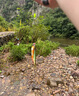 漁之源魚竿碳素冬釣釣魚竿輕量手竿休閑野釣臺釣竿小蜻蜓溪流竿5.4m 曬單實拍圖
