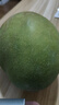 京覓四川攀枝花凱特芒 芒果凈重4.5-5斤單果400g起 新鮮水果源頭直發(fā) 曬單實(shí)拍圖