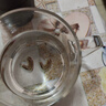 京東京造 玻璃杯 耐熱耐高溫泡茶水杯咖啡牛奶刻度杯子500ml 曬單實(shí)拍圖