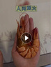 小海故事 特大號九節蝦干凈含量1斤 40-50只 源頭直發(fā) 即食烤九節蝦 曬單實(shí)拍圖