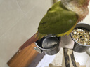 開元 鸚鵡益生菌 鳥用活菌粉玄鳳虎皮牡丹小太陽腹瀉積食拉稀腸胃調(diào)理 曬單實拍圖
