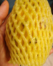 京鮮生 云南燕窩果麒麟果 2斤裝 單果150g+ 生鮮水果源頭直發(fā) 曬單實(shí)拍圖