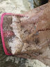 海釣小藥誘魚(yú)劑釣海魚(yú)餌料路亞魚(yú)肉食性黃黑雕海魚(yú)石斑巨物金目鱸 1瓶裝【下鉤就咬】 曬單實(shí)拍圖